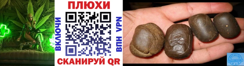 OMG зеркало что такое Богданович Гашиш Cannabis