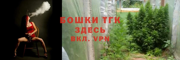 mdpv Богородск