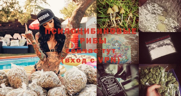 крисы Беломорск