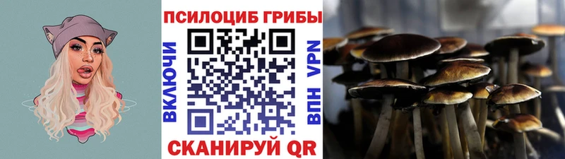 Псилоцибиновые грибы мухоморы  МЕГА вход  Богданович  купить наркоту 